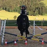 Eggerhof Apartman Saalfelden am Steinernen Meer