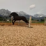 Eggerhof Διαμέρισμα Saalfelden
