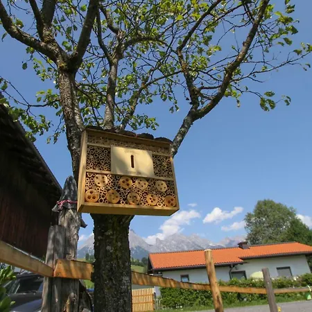 Eggerhof Appartement *