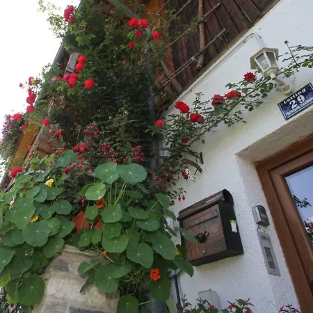 Apartment Eggerhof Saalfelden
