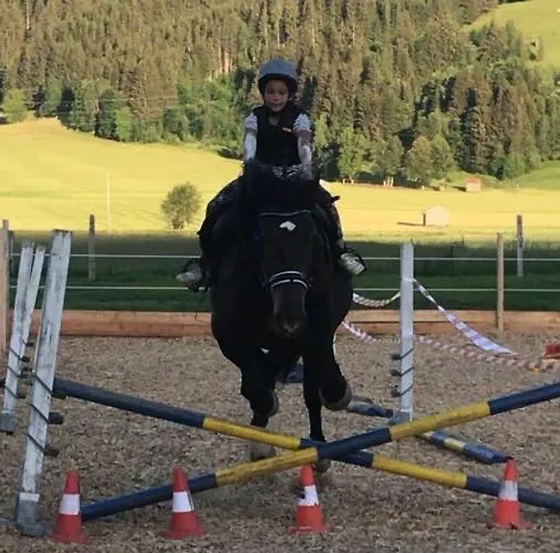 Eggerhof Appartement Saalfelden