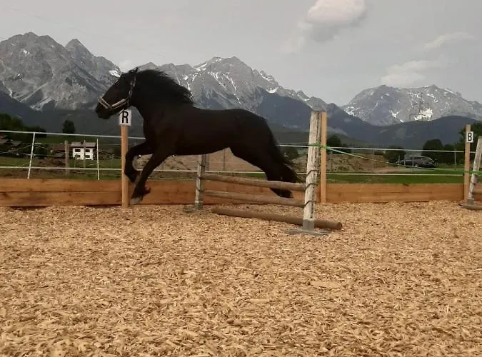 Eggerhof Appartement Saalfelden