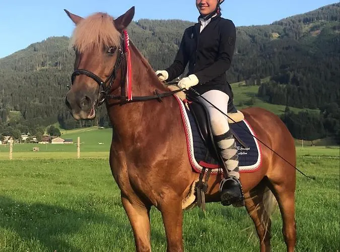 Eggerhof Appartement *