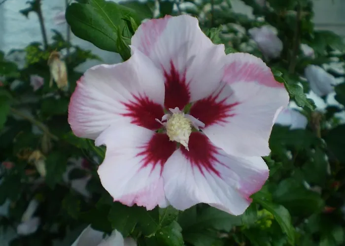 Appartement Eggerhof