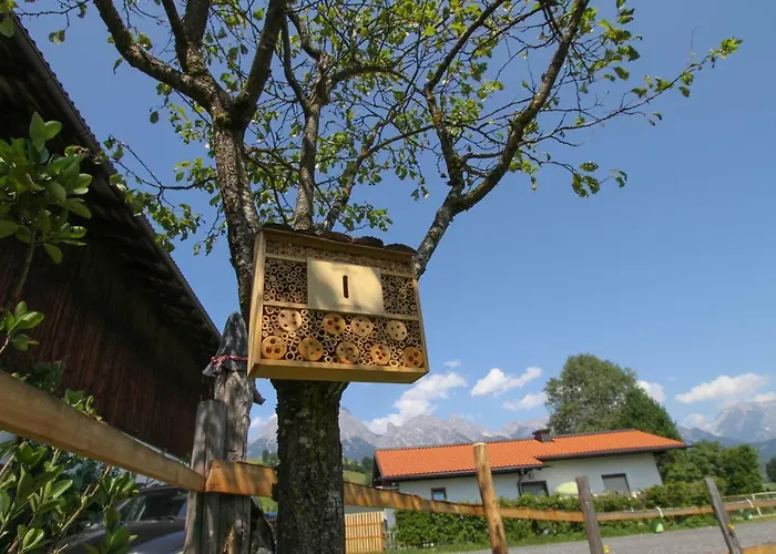 Eggerhof Appartement *