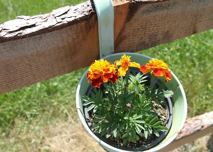 Appartement Eggerhof Saalfelden