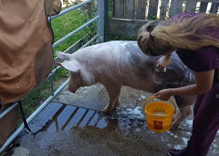 Appartement Eggerhof Saalfelden